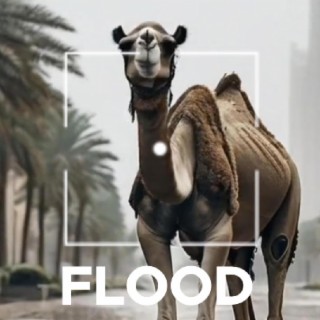 Flood in the Desert