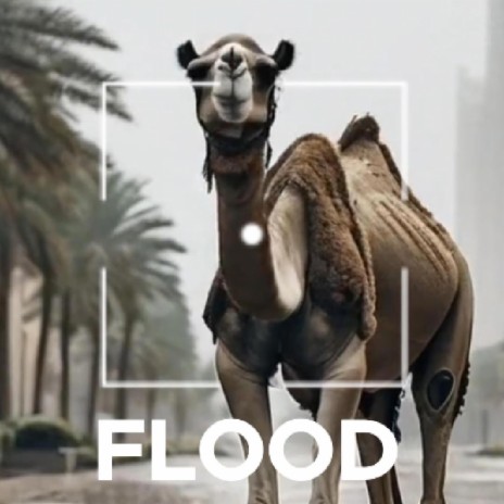 Flood in the Desert | Boomplay Music