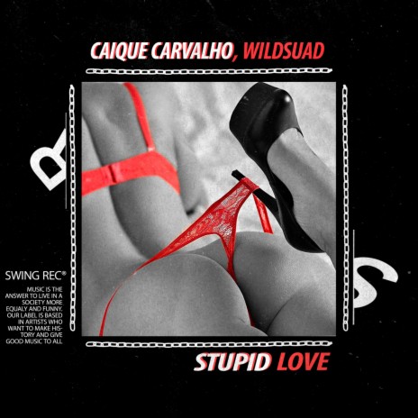 Stupid Love ft. Wildsuad | Boomplay Music