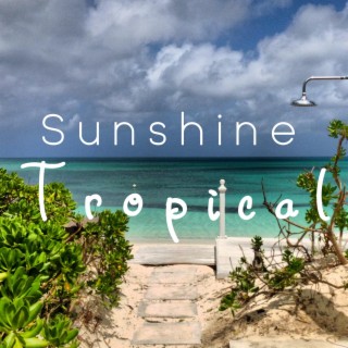 Sunshine Tropical