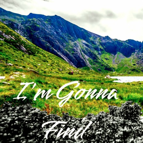I'm Gonna Find | Boomplay Music