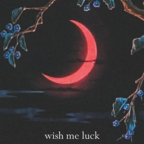 Wish me luck | Boomplay Music