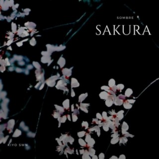 Sombre Sakura