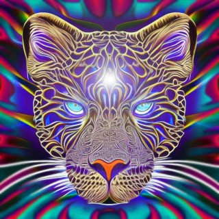 Jaguar lyrics | Boomplay Music