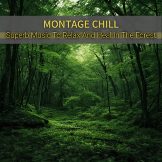 Superb Music To Relax And Heal In The Forest