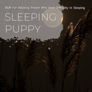 BGM For Relaxing People Who Have Difficulty In Sleeping