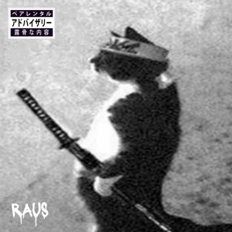 Raus | Boomplay Music