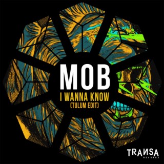 I Wanna Know (Tulum Edit)