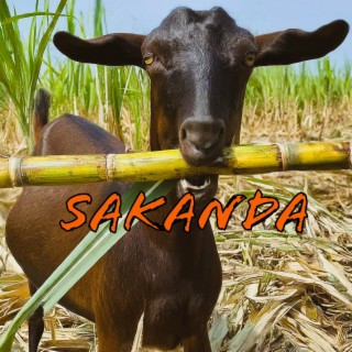 Sakanda