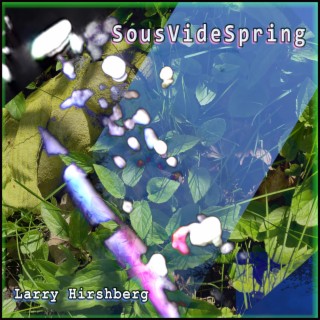 SousVideSpring