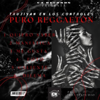 Puro Reggaeton