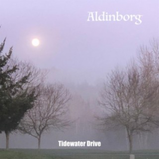 Aldinborg