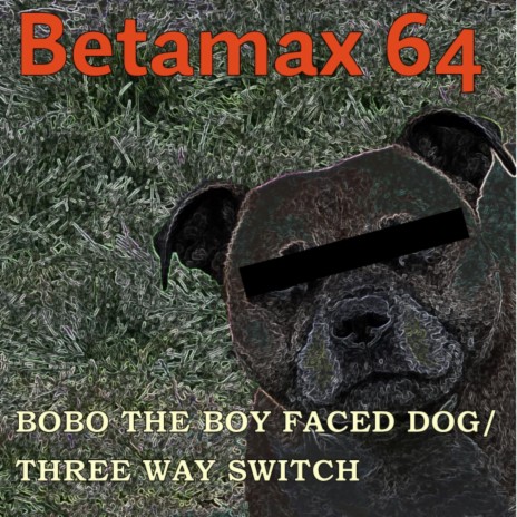 BoBo The Boy Faced Dog