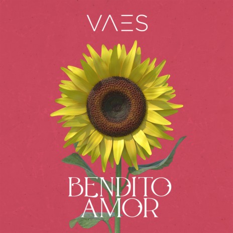 Bendito Amor | Boomplay Music