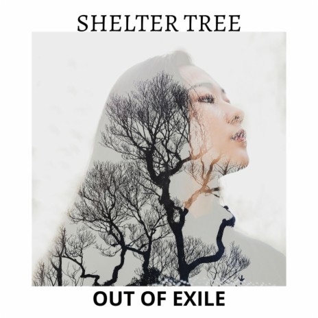 Out of Exile | Boomplay Music