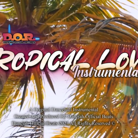 Tropical Love Riddim (Instrumental) | Boomplay Music