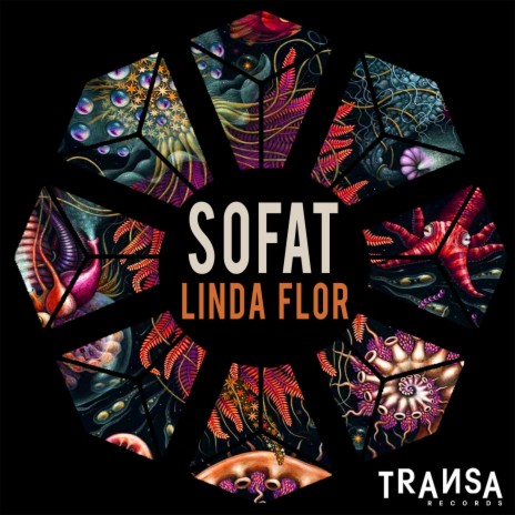 Linda Flor | Boomplay Music