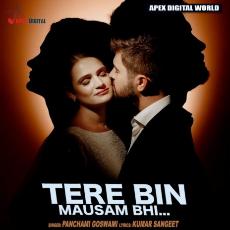 Tere Bin Mausam Bhi | Boomplay Music