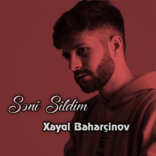 Səni Sildim lyrics | Boomplay Music