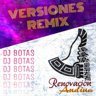 Versiones Remix