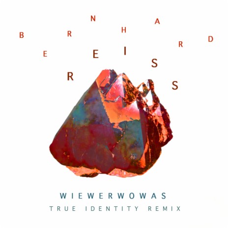 Wiewerwowas (True Identity Radio Remix) ft. Bernhard Reiss | Boomplay Music