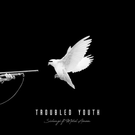 Troubled Youth ft. Mikel Ameen | Boomplay Music