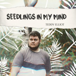 Seedlings In My Mind