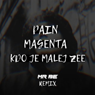 Kdo Je Malej Zee (Mr BE Remix)