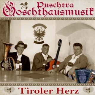 Puschtra Goschthausmusik