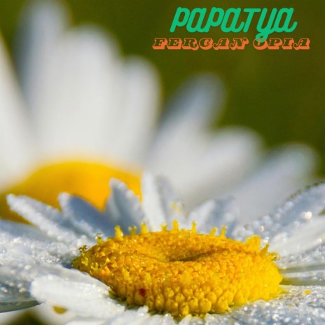 PAPATYA | Boomplay Music