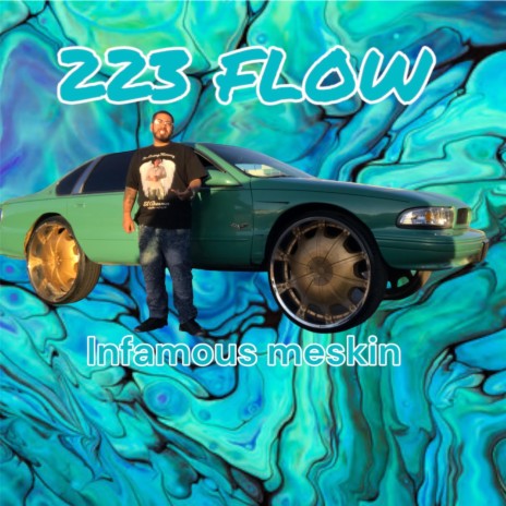 223 flow