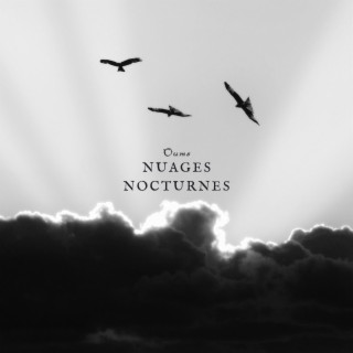 Nuages nocturnes lyrics | Boomplay Music