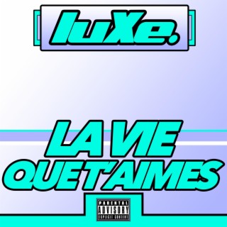 La Vie Que T'aimes lyrics | Boomplay Music