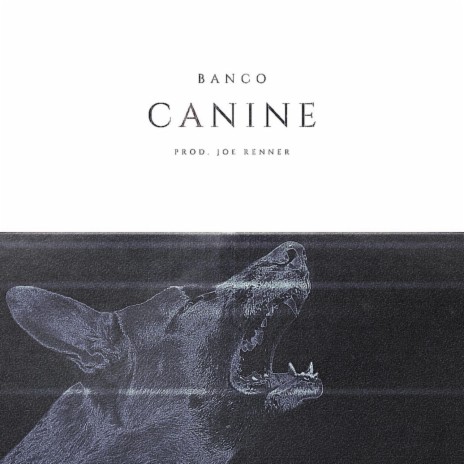 Canine | Boomplay Music