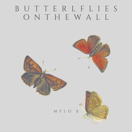 Butterlfies on the Wall | Boomplay Music