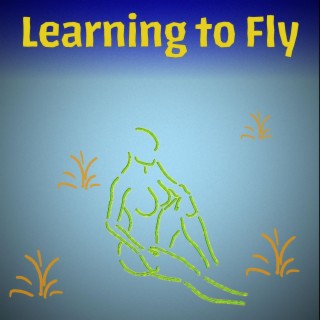 Learning To Fly