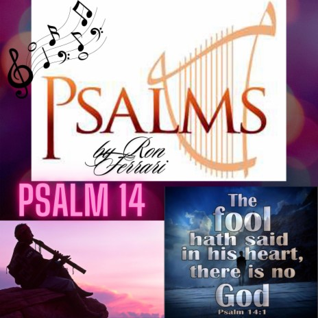 Psalm 14 The Fool | Boomplay Music