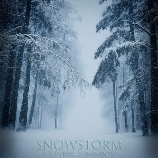 snowstorm