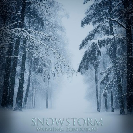 snowstorm ft. ZomboBox! | Boomplay Music