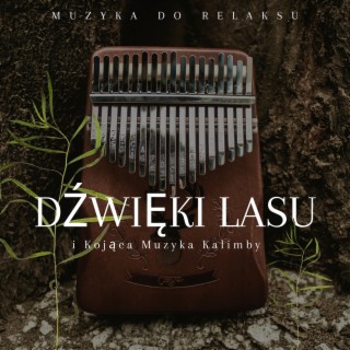 Dźwięki lasu i kojąca muzyka kalimby