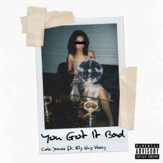 You Got It Bad ft. FlyGuyVeezy lyrics | Boomplay Music