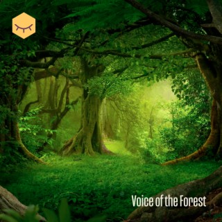 Voice Of The Forest