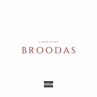 Broodas