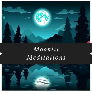 Moonlit Meditations: A Journey to Inner Peace with a Piano