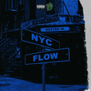 NYC Flow