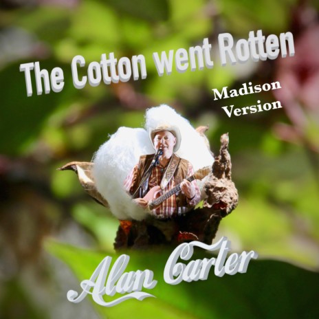 The Cotton went Rotten Madison | Boomplay Music