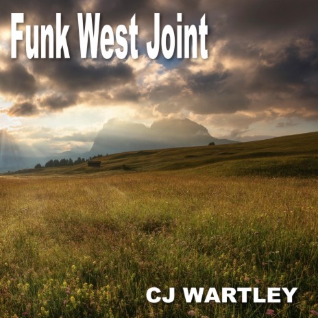 Funk West Joint | Boomplay Music