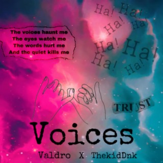 Voices (feat. Thekiddnk)