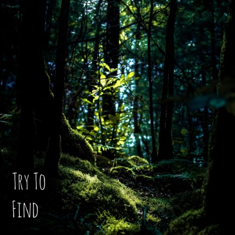 Try to Find | Boomplay Music