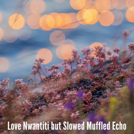 Love Nwantiti but Slowed Muffled Echo